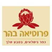 פרוטאה בהר